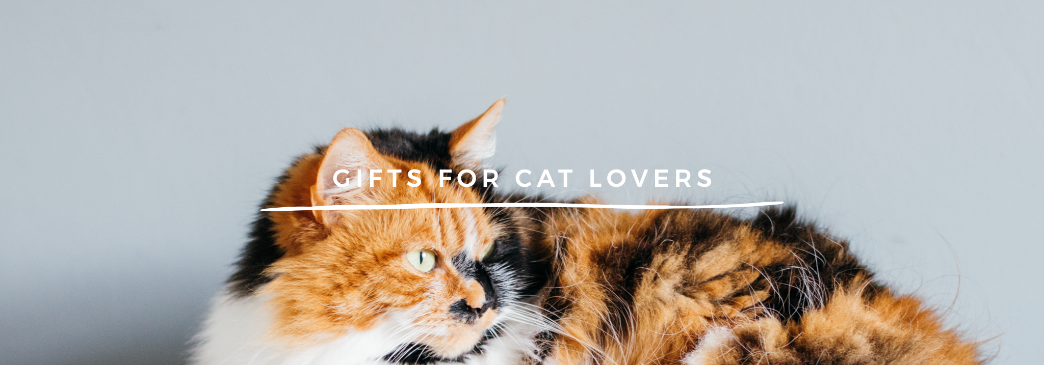 Gifts for cat lovers by Finest Imaginary