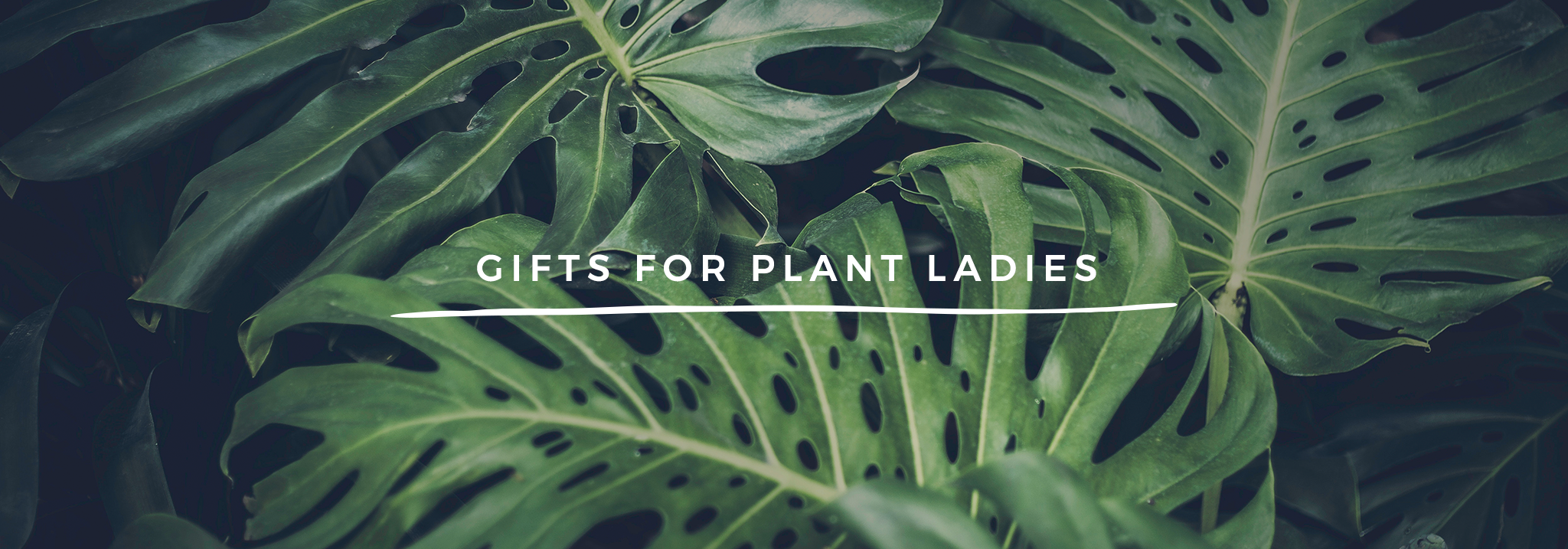 Gifts for plant lovers by Finest Imaginary