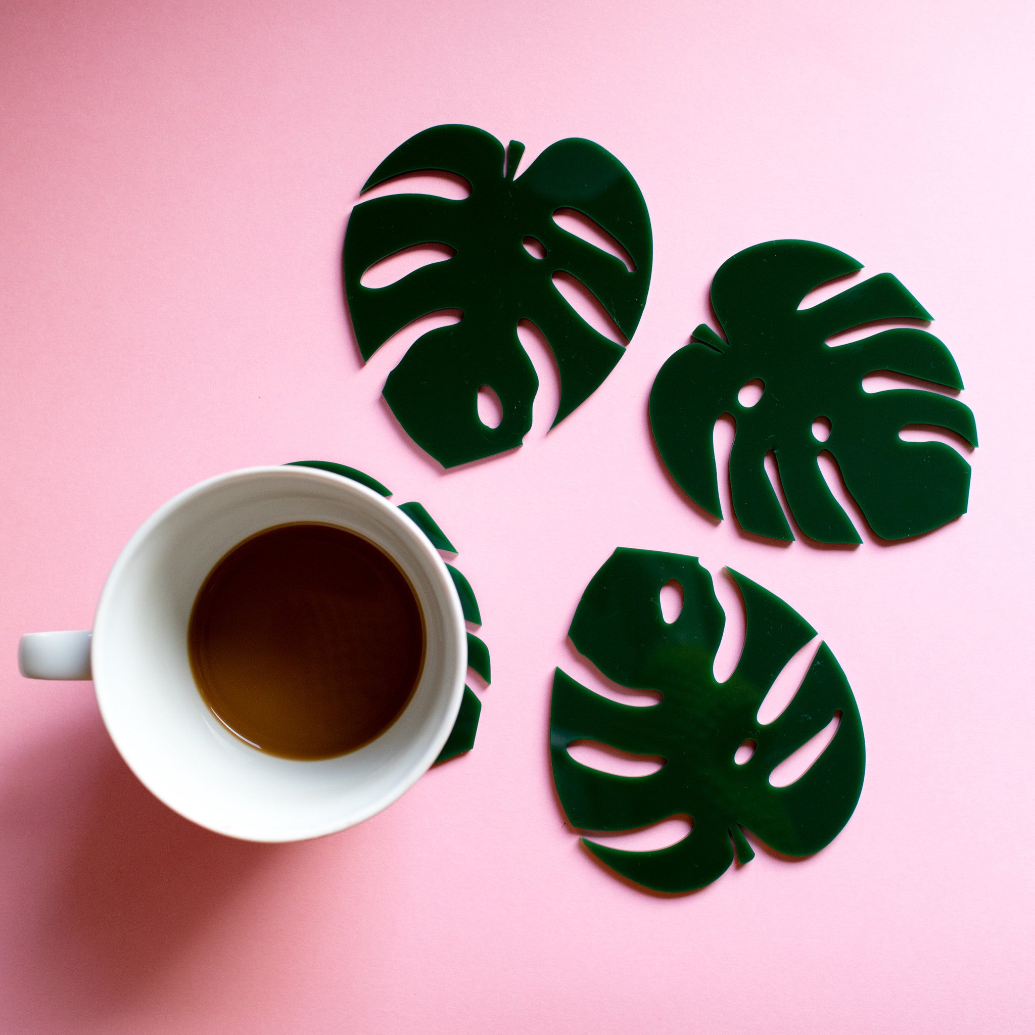 Cheese Plant Leaf Coasters - Finest Imaginary