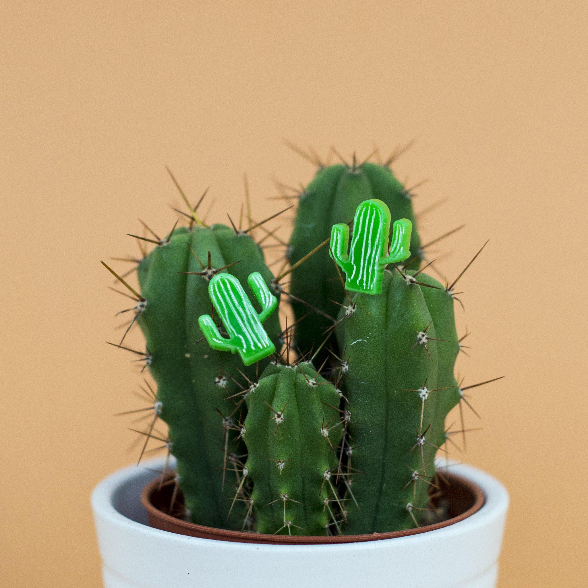 Cactus Earrings - Finest Imaginary