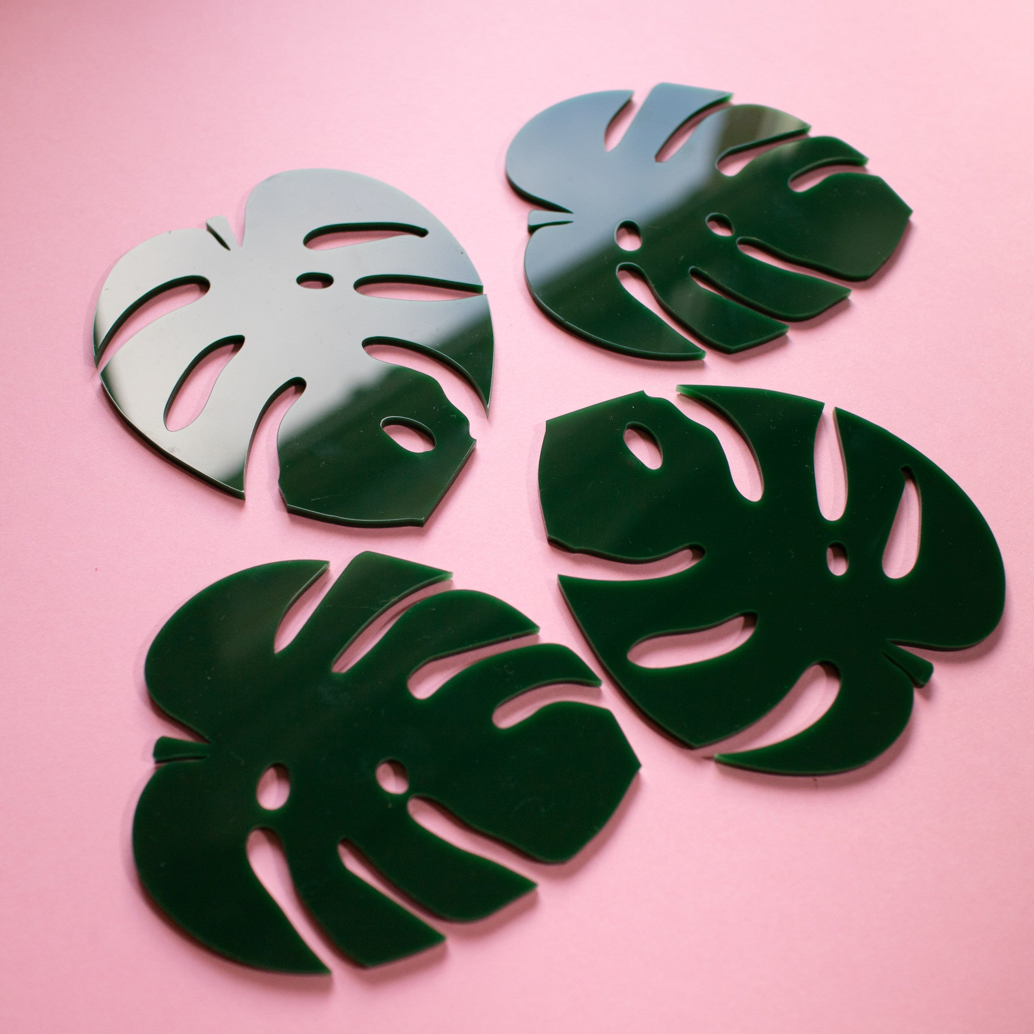 Cheese Plant Leaf Coasters - Finest Imaginary